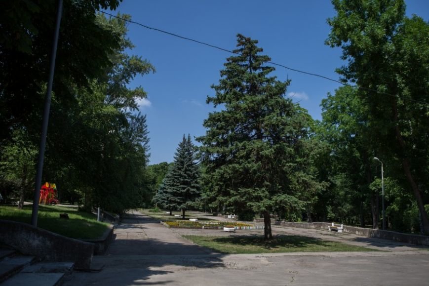парк1 парк1