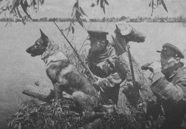 Наши пограничники. Утром 22 июня 1941 года именно они первыми встретили натиск гитлеровских войск. Наши пограничники. Утром 22 июня 1941 года именно они первыми встретили натиск гитлеровских войск.