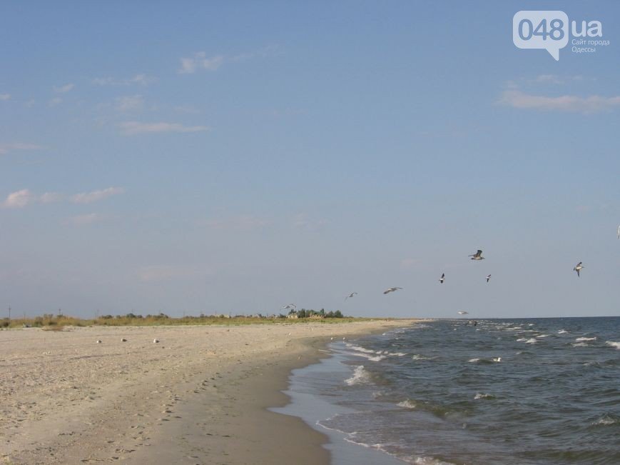 Тет-а-тет с природой: рейтинг лучших диких пляжей вблизи О..., фото-7 Тет-а-тет с природой: рейтинг лучших диких пляжей вблизи Одессы (ФОТО), фото-7