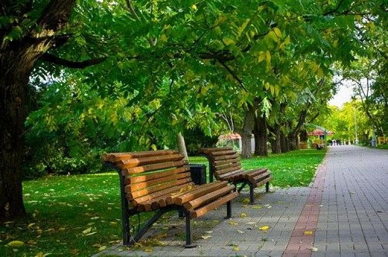 комарова комарова