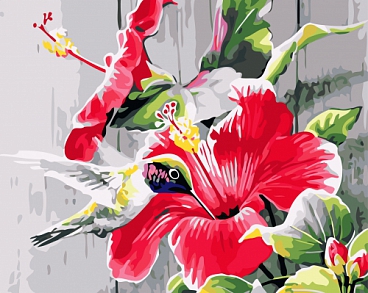 b4173778c0fd3db87696057e7713a0bf