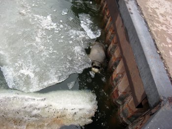 31.03.2012_Mariupol_Dubas_2_site 31.03.2012_Mariupol_Dubas_2_site