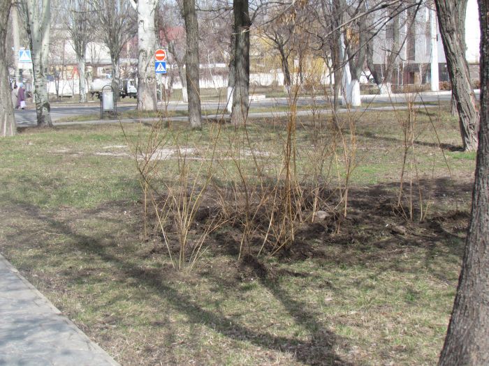 В Мариуполе к Пасхе у храмов установят биотуалеты? (ФОТО), фото-2 В Мариуполе к Пасхе у храмов установят биотуалеты? (ФОТО), фото-2