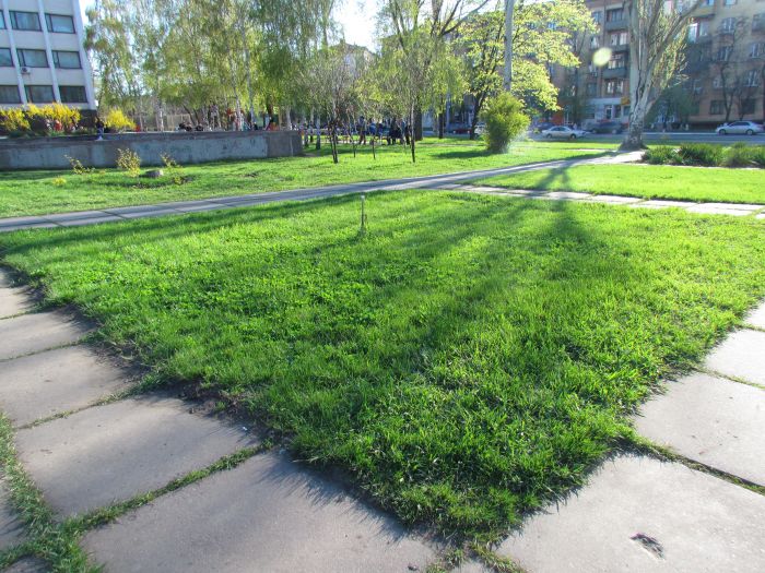 В Мариуполе митингующие «натоптали» под горсоветом на 3,5 т..., фото-8 В Мариуполе митингующие «натоптали» под горсоветом на 3,5 тысячи гривень (Дополнено ФОТО), фото-8
