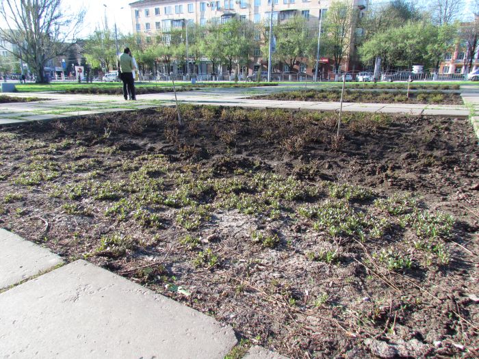 В Мариуполе митингующие «натоптали» под горсоветом на 3,5 т..., фото-4 В Мариуполе митингующие «натоптали» под горсоветом на 3,5 тысячи гривень (Дополнено ФОТО), фото-4