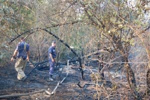 В Николаеве из-за мусорной свалки чуть не сгорел Матвеевски..., фото-3 В Николаеве из-за мусорной свалки чуть не сгорел Матвеевский лес (ФОТО), фото-3
