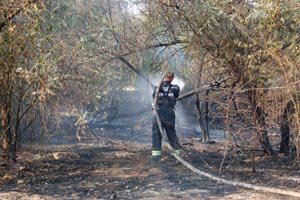 В Николаеве из-за мусорной свалки чуть не сгорел Матвеевски..., фото-4 В Николаеве из-за мусорной свалки чуть не сгорел Матвеевский лес (ФОТО), фото-4