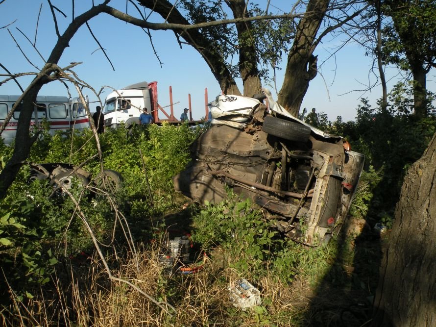 Миколаїв_УДАІ_ДТП_1-1-2_020812_2 Миколаїв_УДАІ_ДТП_1-1-2_020812_2