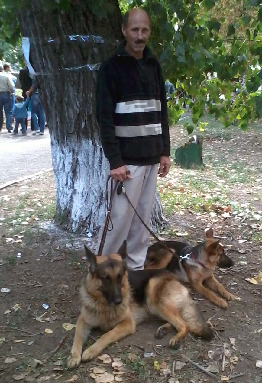 собаки3 собаки3