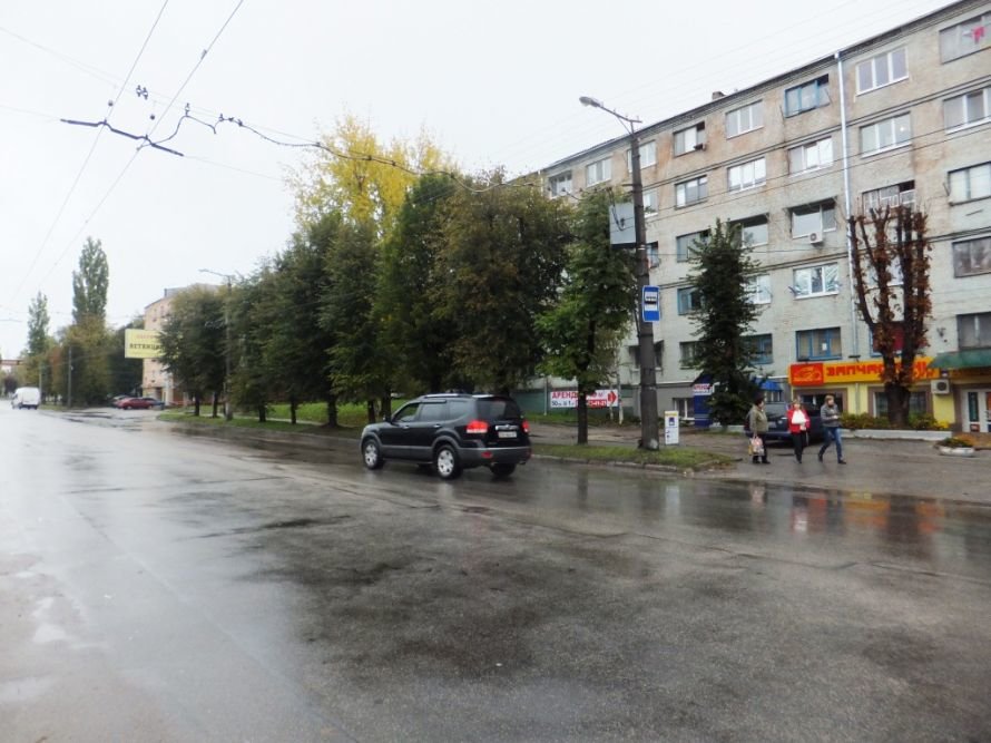 Суровые кировоградские белки перекрывают дороги!, фото-1 Суровые кировоградские белки перекрывают дороги!, фото-1