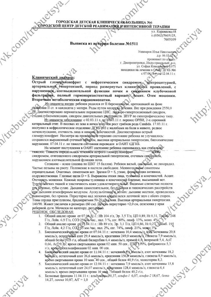 выписка гдб выписка гдб