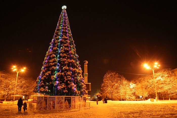 Главную новогоднюю елку Кременчуга откроют 20 декабря, фото-1 Главную новогоднюю елку Кременчуга откроют 20 декабря, фото-1