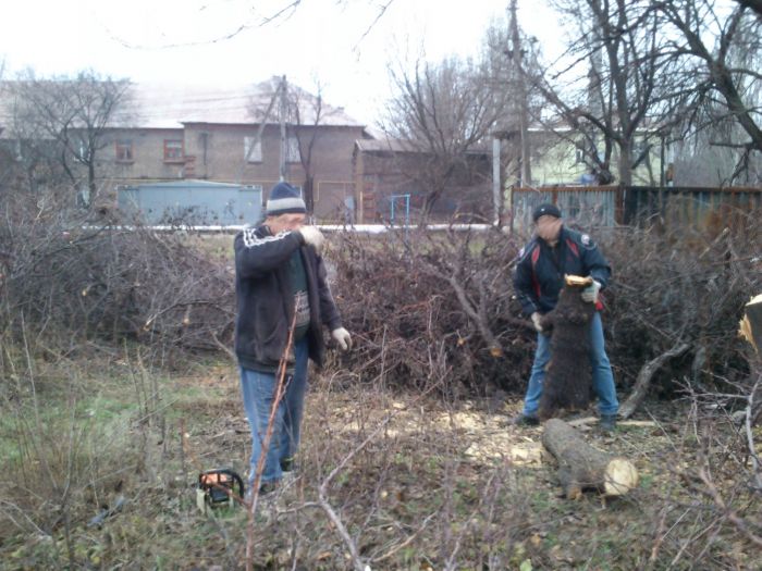 Дерево рубят 1 Дерево рубят 1