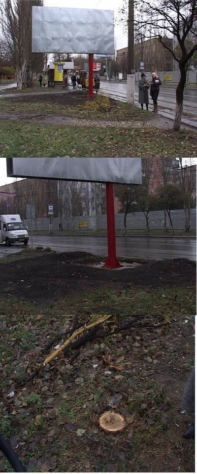 Вырубают деревья - устанавливают биг борды! (фото), фото-1 Вырубают деревья - устанавливают биг борды! (фото), фото-1