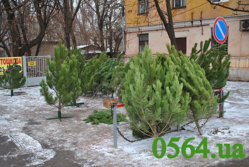 Изображение 006 Изображение 006