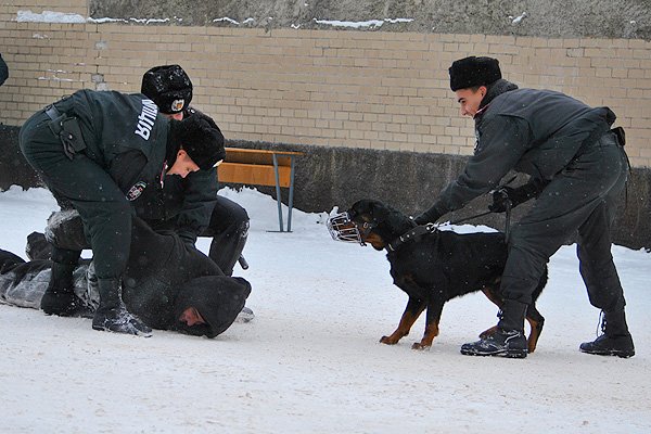 присяга 9 присяга 9