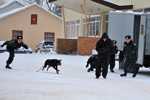 присяга 8 присяга 8