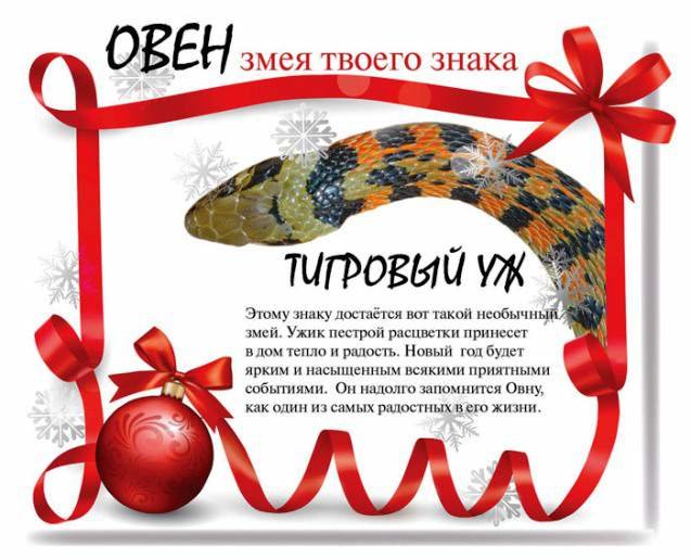 Змея твоего знака: что ожидает вас в 2013 году, фото-1 Змея твоего знака: что ожидает вас в 2013 году, фото-1