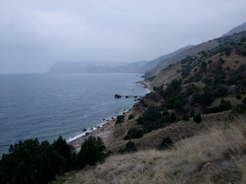 DSCF8561