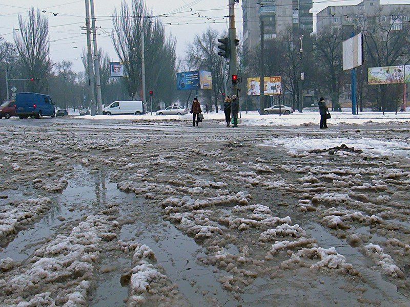 DSC02714_новый размер DSC02714_новый размер