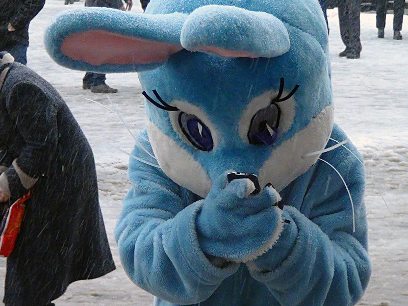 DSC02812_новый размер DSC02812_новый размер