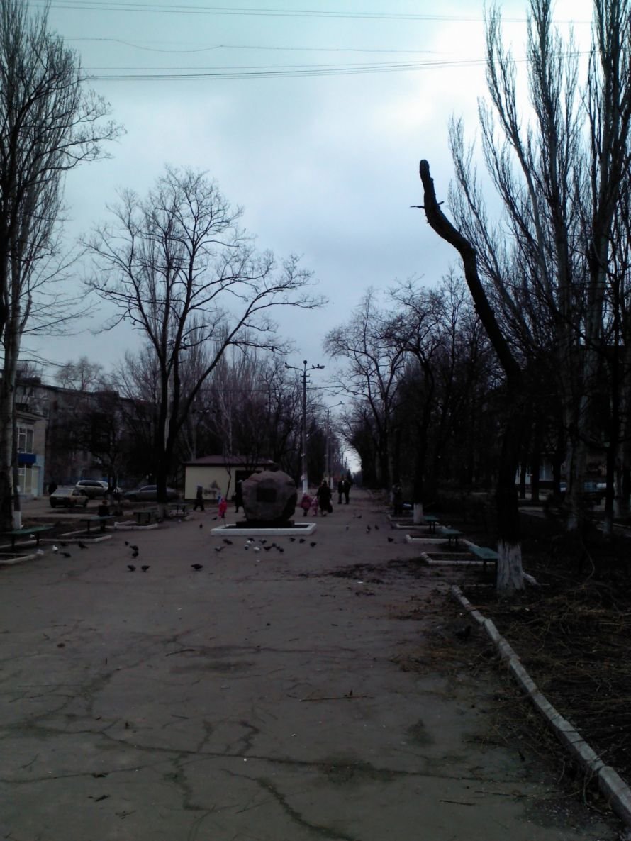 Деревья Хмельницкого 3 Деревья Хмельницкого 3