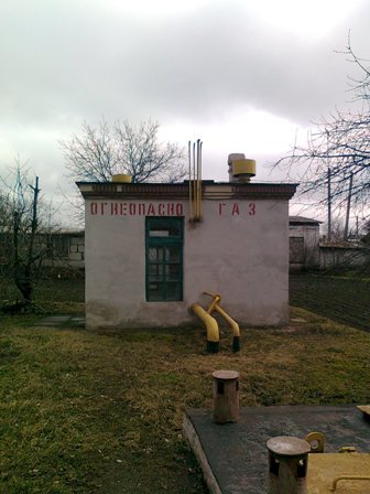 деревья3 деревья3