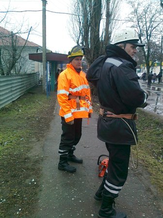 деревья2 деревья2
