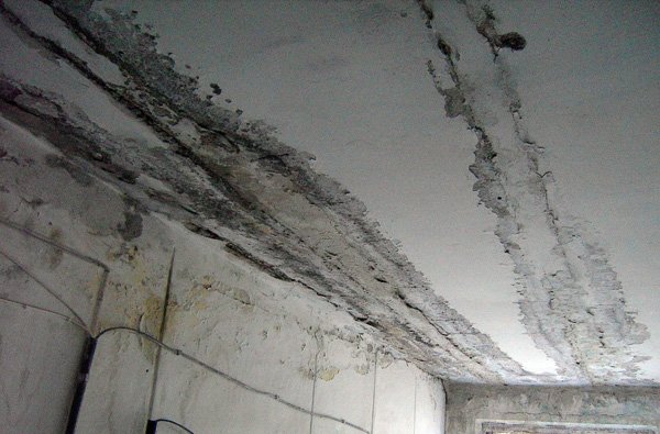 Жители одного из домов Горловки ждут ремонта кровли уже 10..., фото-2 Жители одного из домов Горловки ждут ремонта кровли уже 10 лет, фото-2