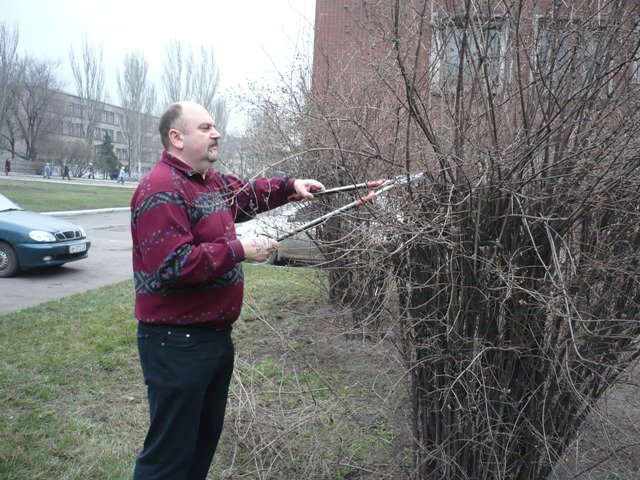 субботник 9 субботник 9