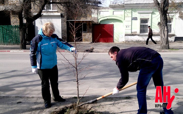 cmnt_feodosiya_subbotnik_kopiya