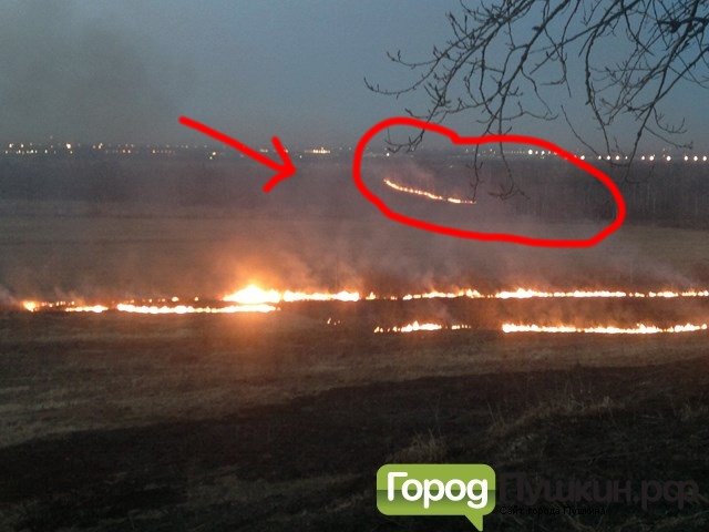 горит лес горит лес