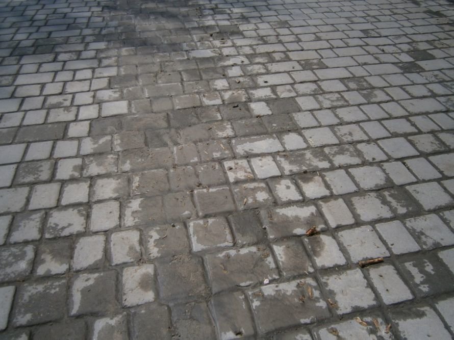 P4260005