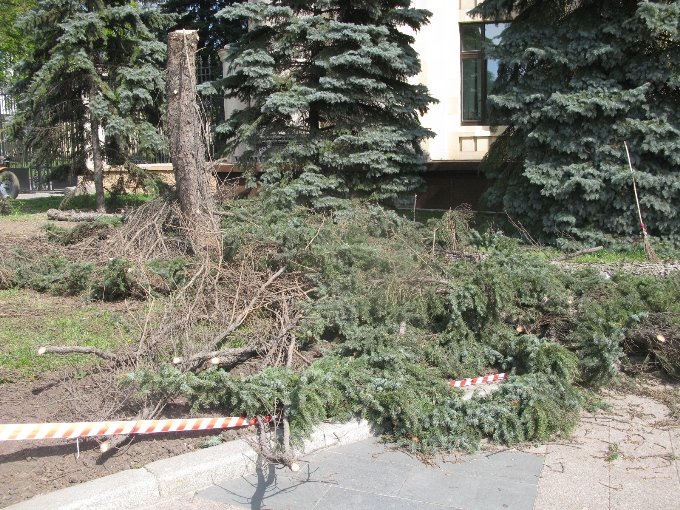 ели3 ели3