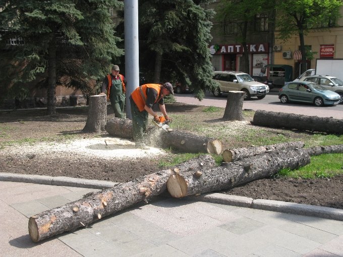 ели4 ели4