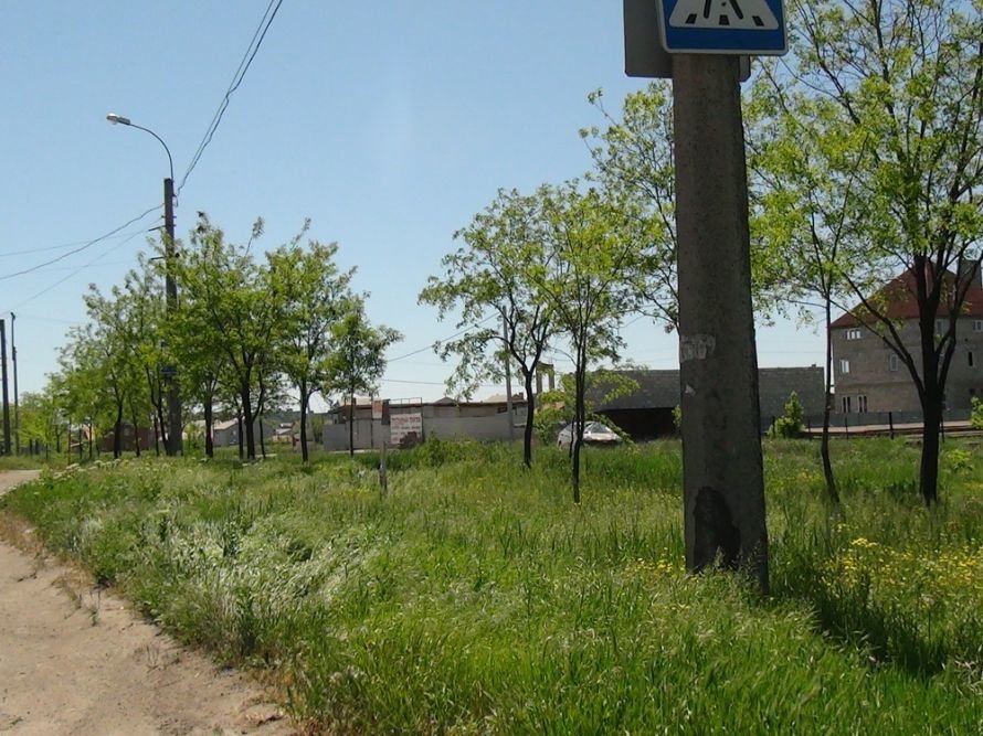 DSC01470_новый размер DSC01470_новый размер