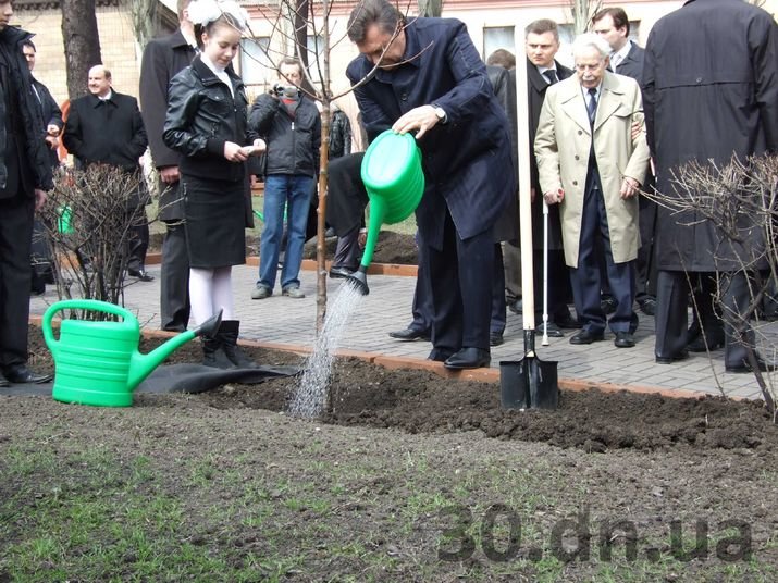 дерево1 дерево1
