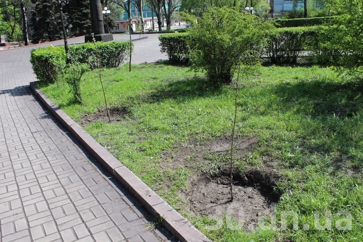 дерево3 дерево3