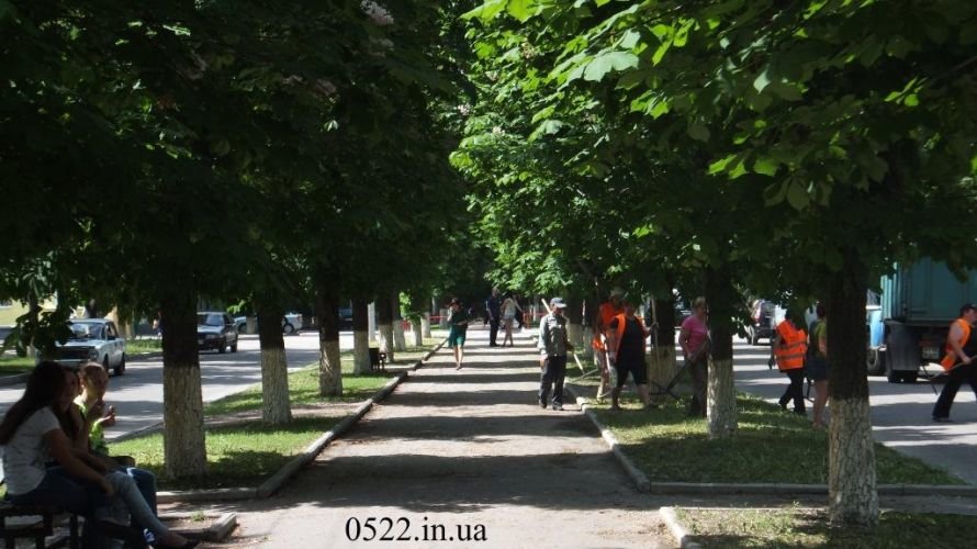 DSCF6557