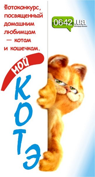 котэ котэ