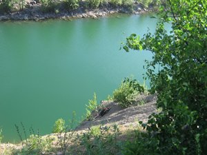 IMG_0031