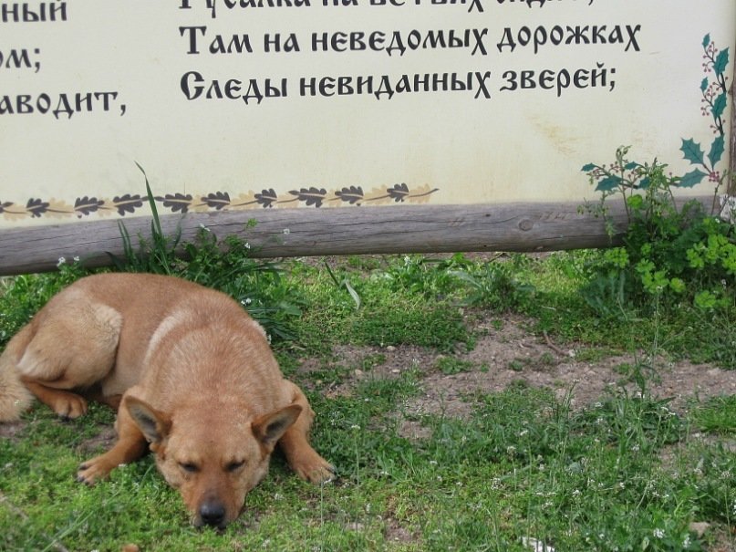 фотка5 фотка5