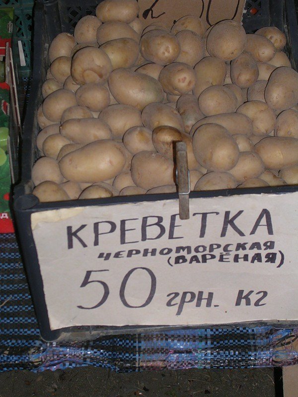 фотка12 фотка12