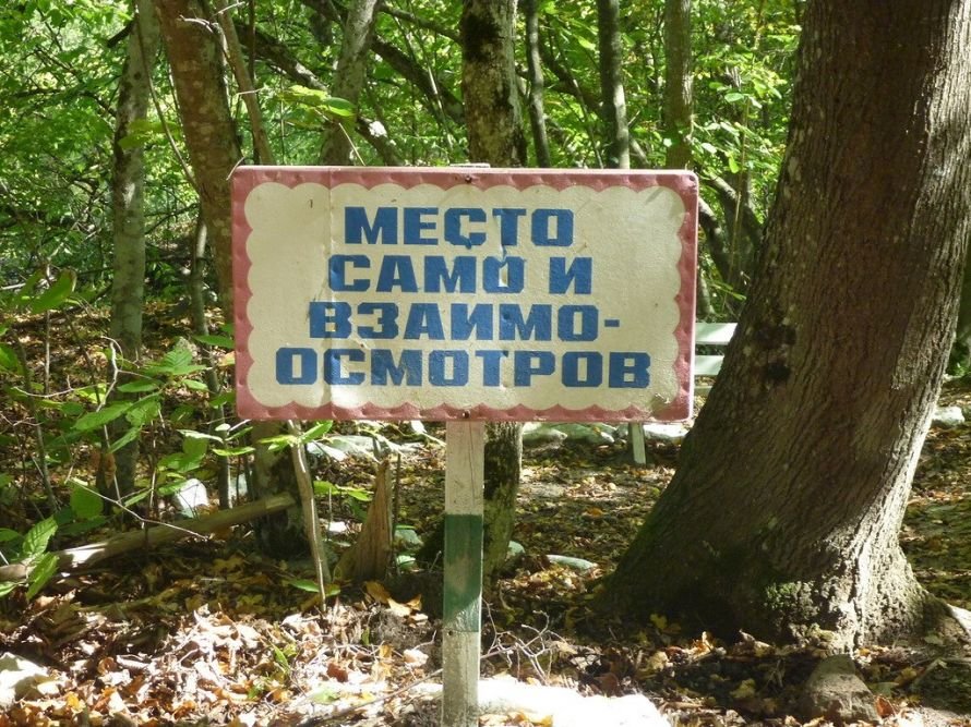 фотка 8 фотка 8