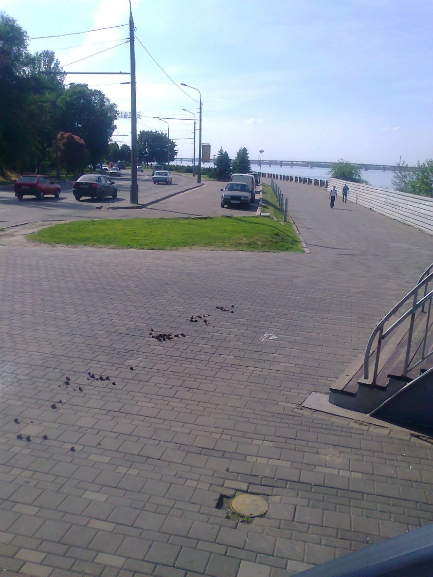 навоз навоз