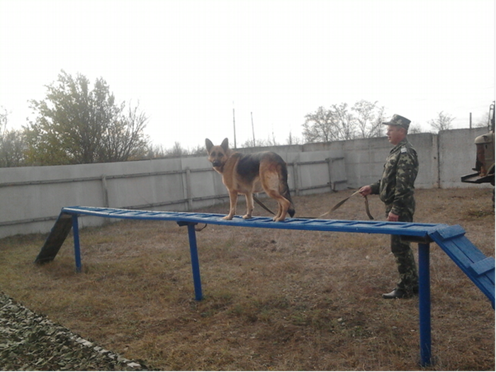Новый_рисунок Новый_рисунок