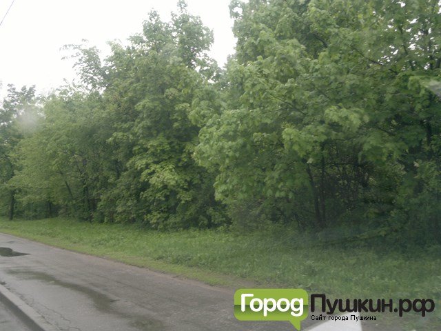 2013-05-23-950 (Копировать) 2013-05-23-950 (Копировать)
