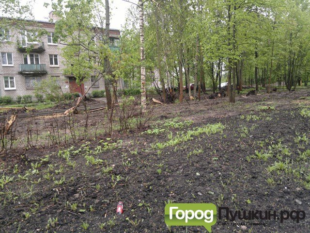 2013-05-23-949 (Копировать) 2013-05-23-949 (Копировать)