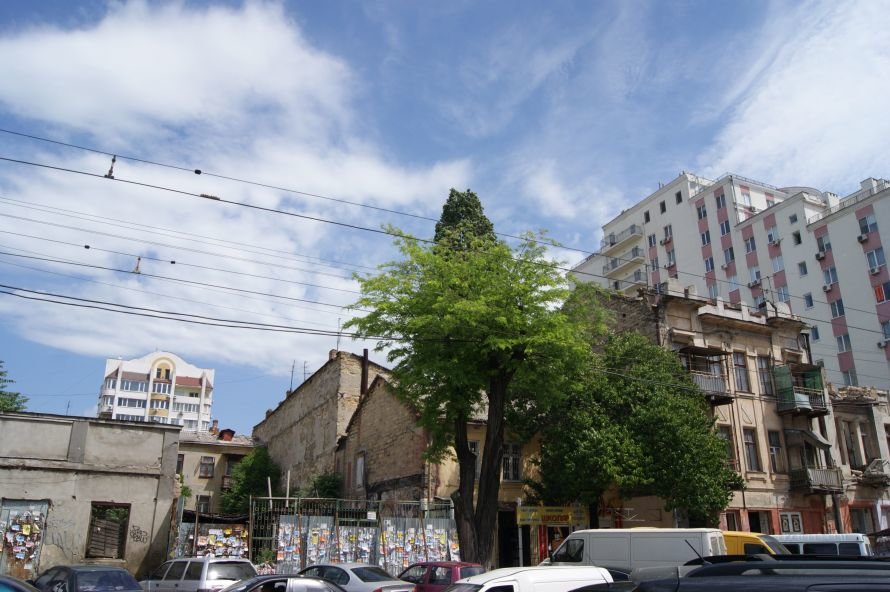 DSC08643