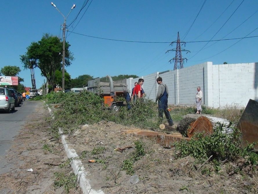 DSC08116_новый размер DSC08116_новый размер